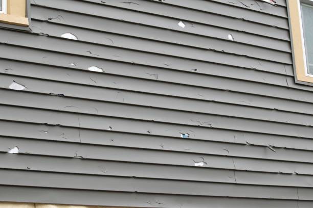 Best Vinyl Siding Installation  in Edwards Af, CA